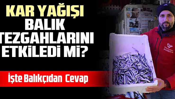 Kar Yağışı Balık Tezgahlarını Etkiledi mi? İşte Balıkçıdan  Cevap