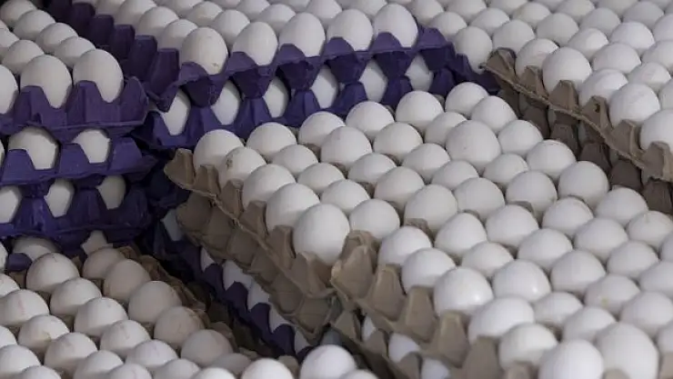 Sebepsiz fiyat artışını önleyecek