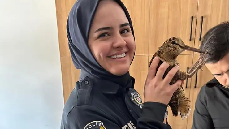 Orman çulluğuna polis şefkati