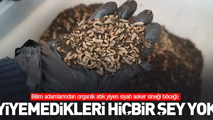 'Yiyemedikleri hiçbir şey yok'