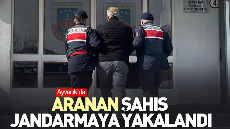 Aranan şahıs jandarmaya yakalandı