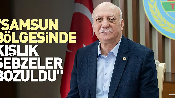 'Samsun bölgesinde kışlık sebzeler bozuldu'