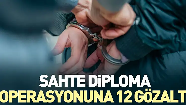 SAHTE DİPLOMA OPERASYONUNA 12 GÖZALTI