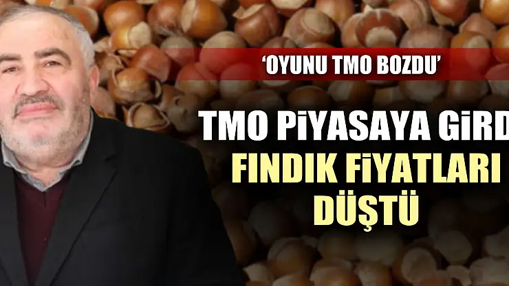 'OYUNU TMO BOZDU'  TMO piyasaya girdi, fındık fiyatları düştü
