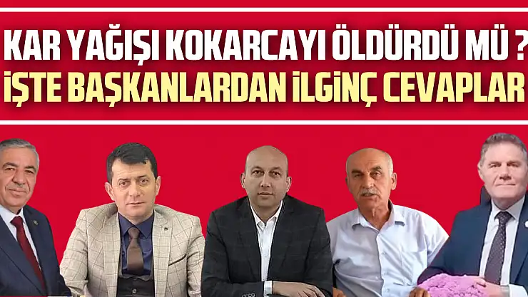 KAR YAĞIŞI KOKARCAYI ÖLDÜRDÜ MÜ ?  İŞTE BAŞKANLARDAN İLGİNÇ CEVAPLAR