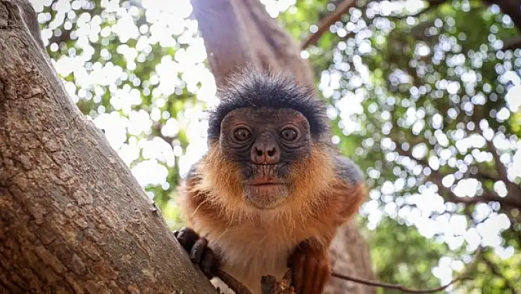 Doğayla iç içe eşsiz macera sunuyor