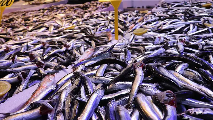 Ramazanda balığa talep arttı