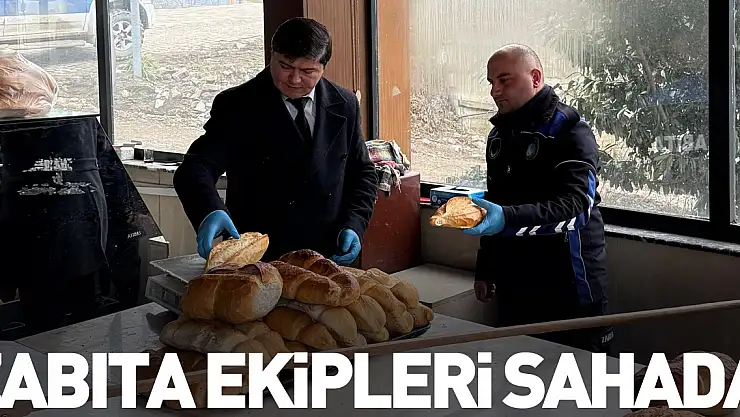 Zabıta Ekipleri Sahada
