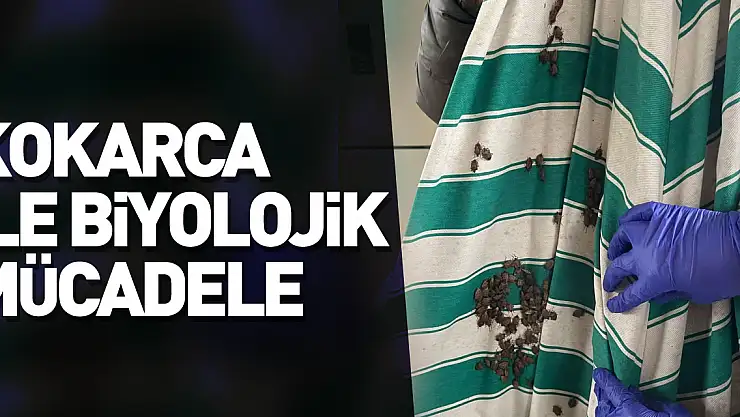 Kokarca ile biyolojik mücadele