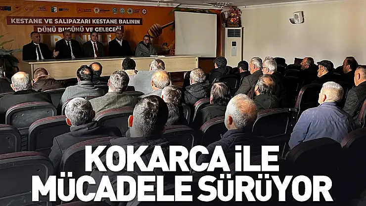 Kokarca ile mücadele sürüyor