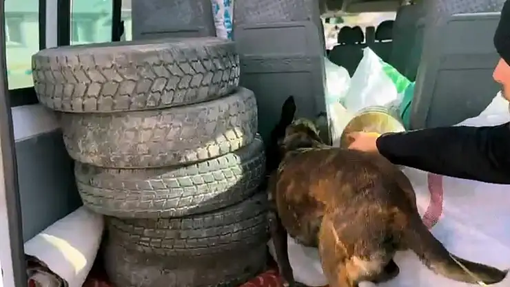 Uyuşturucuyla  yakalandı, 'Şeker sanıyordum' dedi