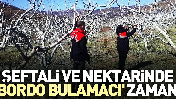 'Bordo bulamacı' zamanı