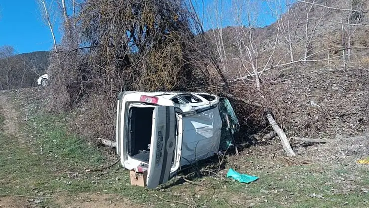 Ticari araç şarampole uçtu