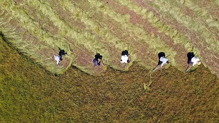 Çiftçilere 3,3 milyar lira destek ödemesi yapılacak