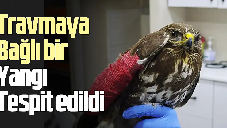 Travmaya bağlı bir yangı tespit edildi