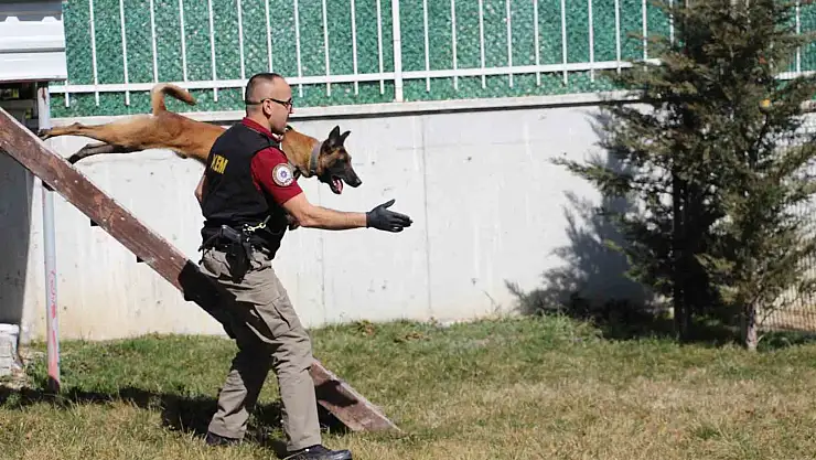 'Keskin burunlar' zehir tacirlerine geçit vermiyor