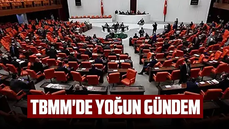 TBMM'de yoğun gündem