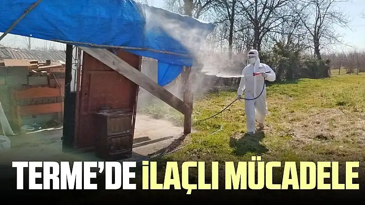 Terme'de kahverengi kokarcayla ilaçlı mücadele !
