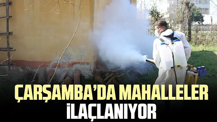 Çarşamba'da mahalleler ilaçlanıyor