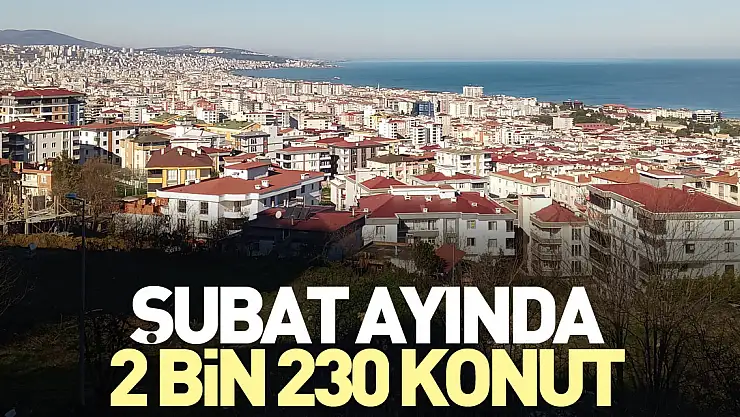 Şubat ayında 2 bin 230 konut