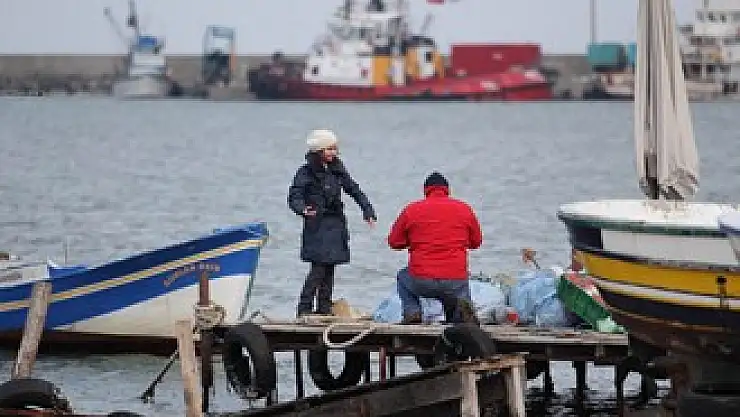 Balıkçı Barınağı FOKUS'landı