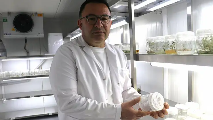 'Sahurda chia tohumu tüketin susuz ve aç kalmayın'