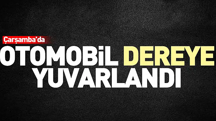 Otomobil dereye yuvarlandı