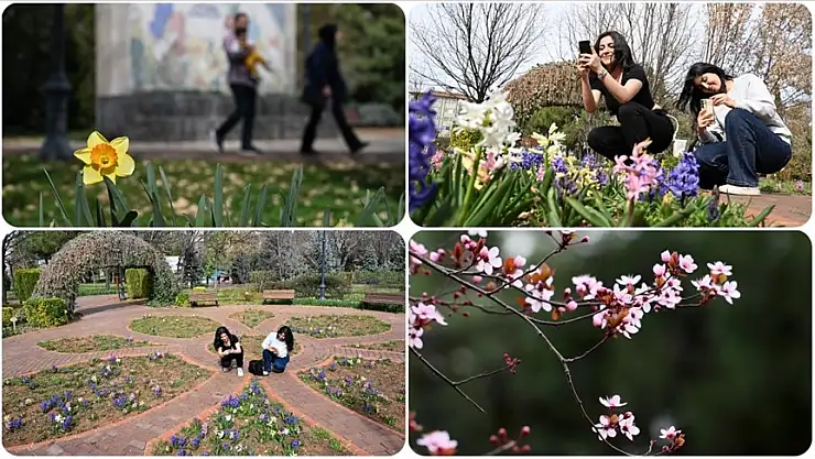Botanik bahçesi renklendi