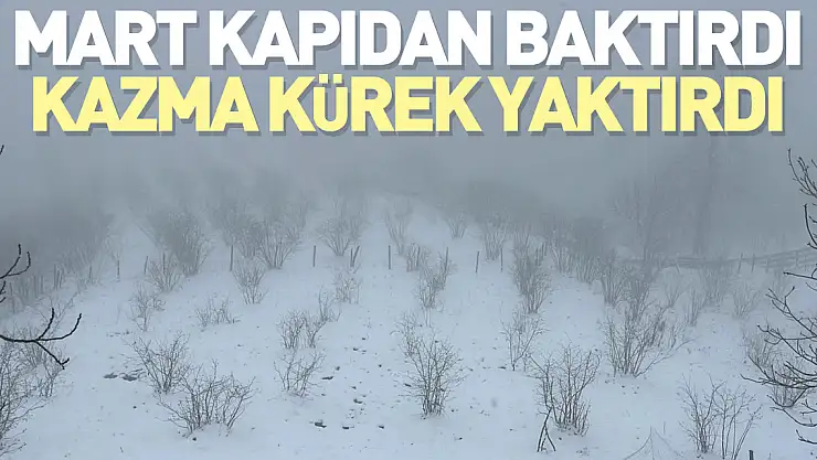 Mart Kapıdan Baktırdı, Kazma Kürek Yaktırdı