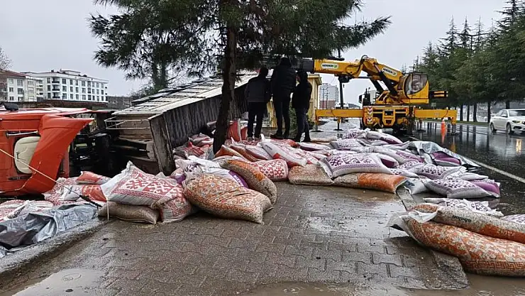 Besi yemi yüklü tır devrildi