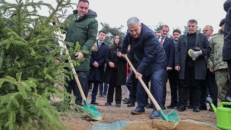 10 bin adet fidan toprakla buluştu