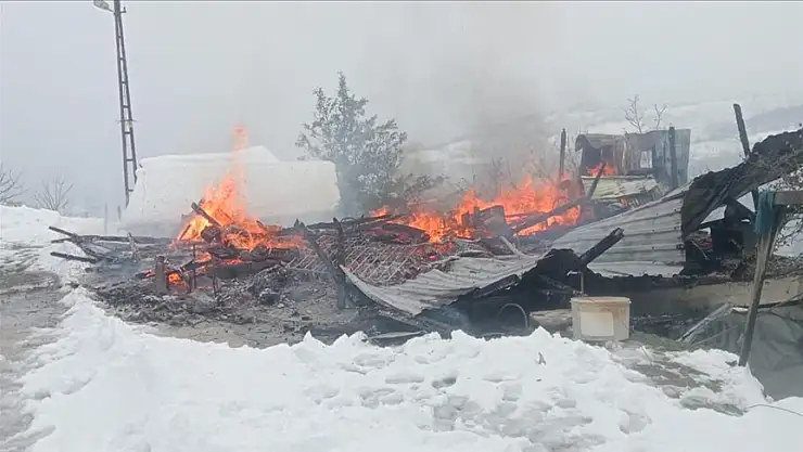 Ordu'da evde çıkan yangın kar ile söndürüldü