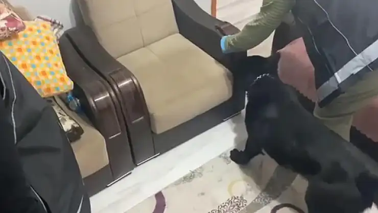 Zulalanmış metamfetamini  Tony buldu