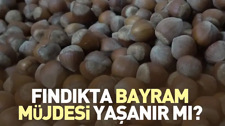 FINDIKTA BAYRAM MÜJDESİ YAŞANIR MI?