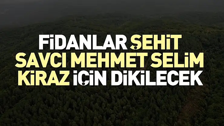 Fidanlar Şehit Savcı Mehmet Selim Kiraz için dikilecek