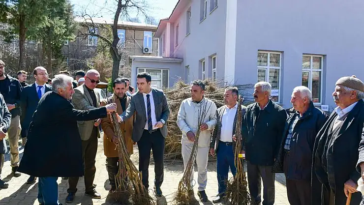 Çiftçilere yüzde 80 hibe ile fidan dağıtıldı