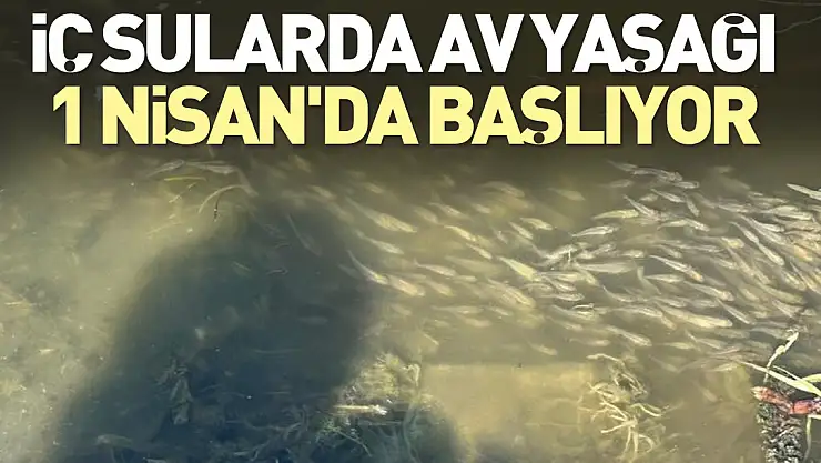 Av yasağı 1 Nisan'da başlıyor