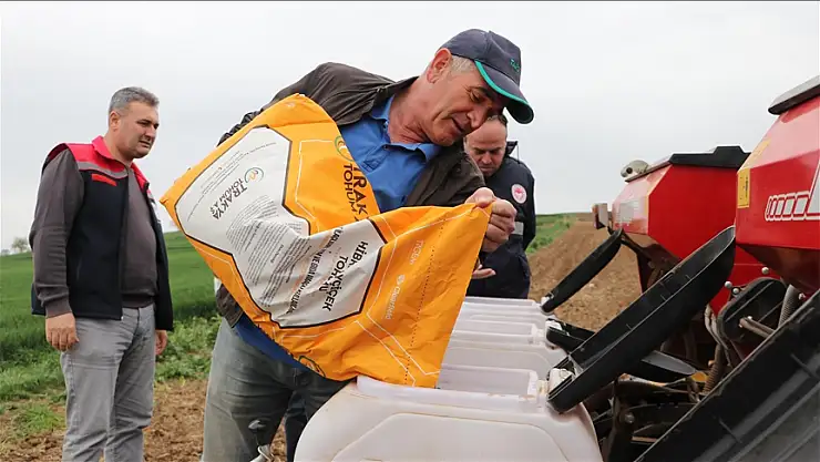 Ayçiçeği tohumları toprakla buluşmaya başladı