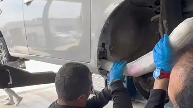 Narkotik köpekleri iş başında