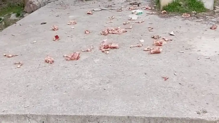 Vatandaşlar çileden çıktı