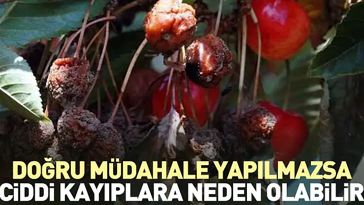 Doğru müdahale yapılmazsa ciddi kayıplara neden olabilir