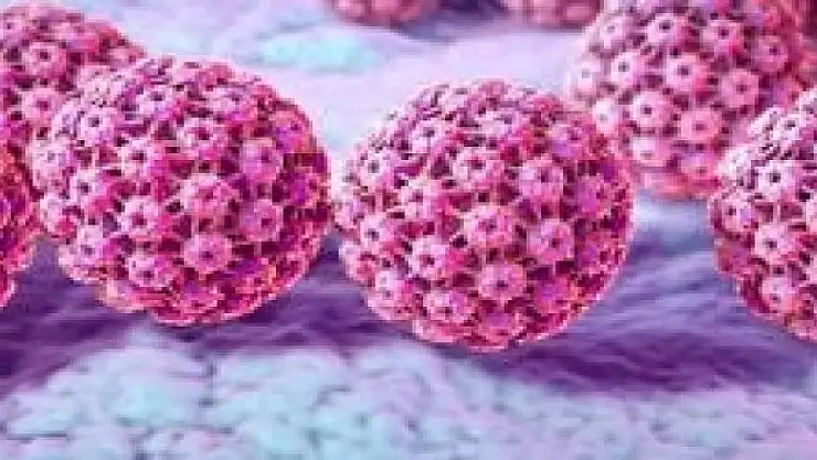 Ciltte küçük siyah noktalarla kendini gösterebilir