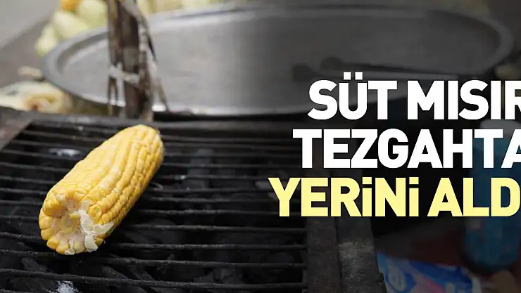 Süt mısır tezgahta yerini aldı