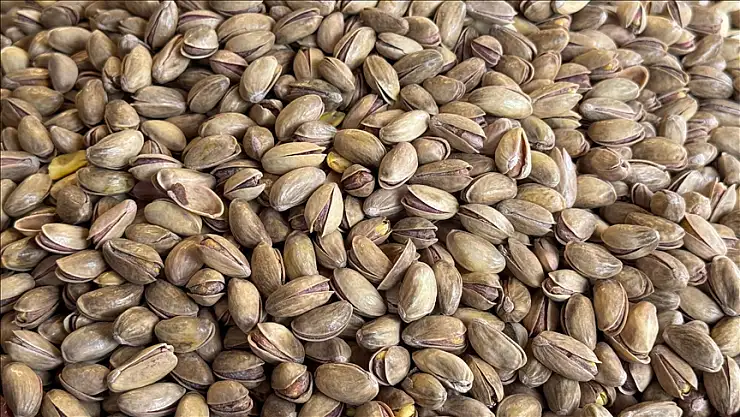 Türkiye'den yılın ilk çeyreğinde 59,7 milyon dolarlık fıstık ihraç edildi