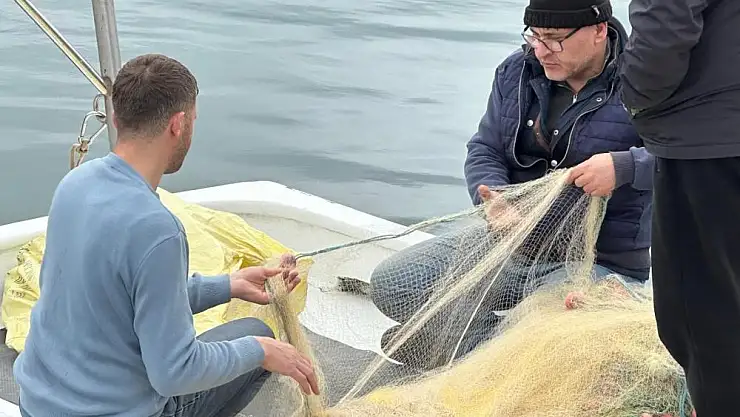 Sinoplu balıkçılar sezonu mutlu kapatıyor