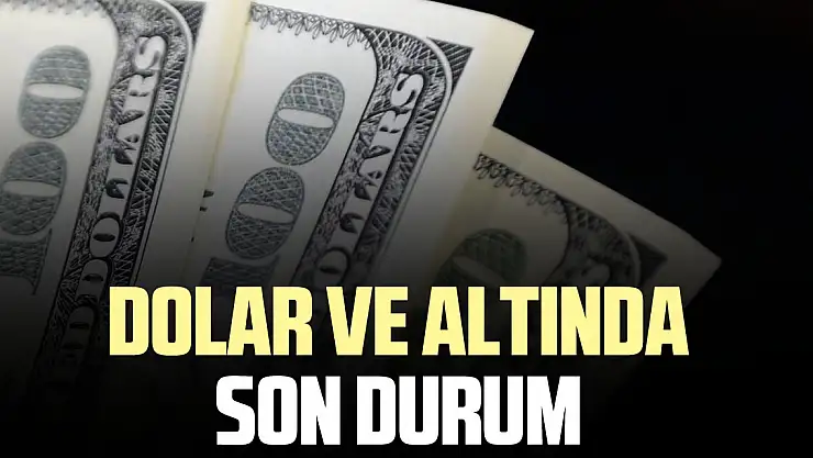 DOLAR VE ALTINDA SON DURUM
