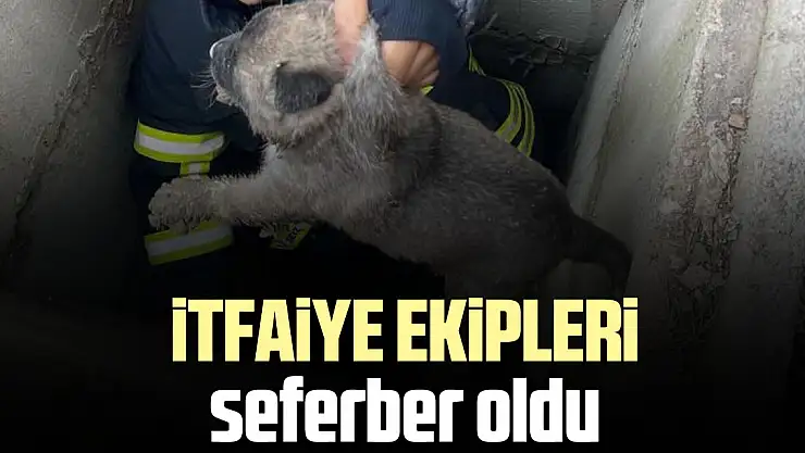 İtfaiye ekipleri seferber oldu