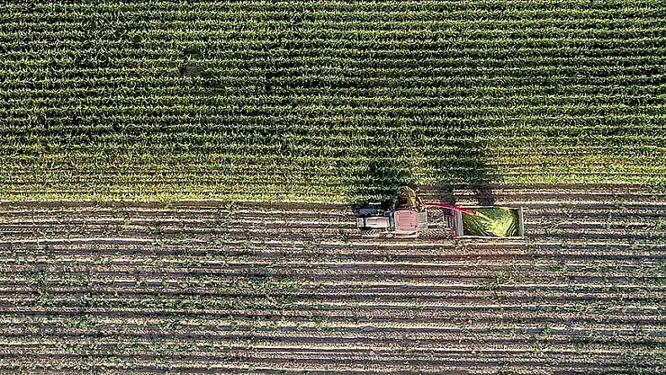 Çiftçilere 5,5 milyar lira destek ödemesi yapılacak