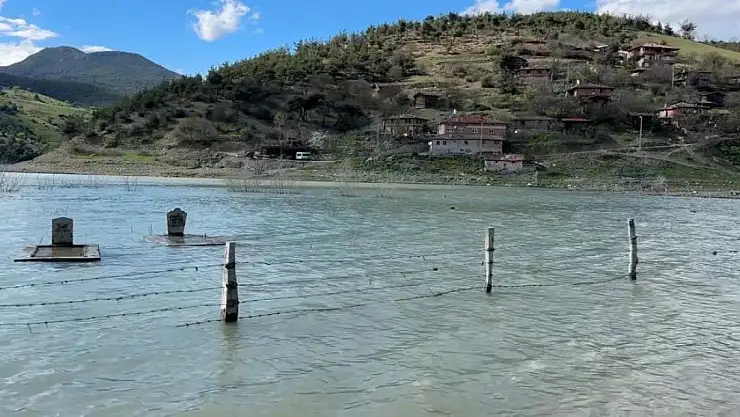 Su altında kalmış mezarlar ve binlerce balık yavrusu