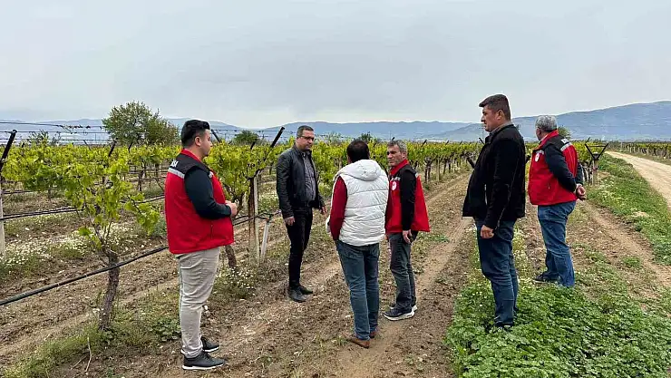 Kaymakam Dalak don zararı gören bağlarda incelemelerde bulundu
